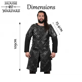 Lord of the Northâ€˜s Leather Armour