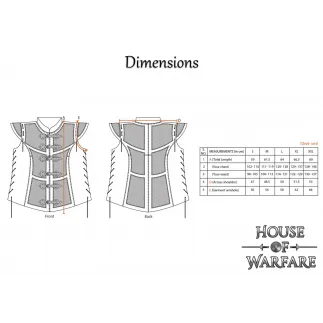 Brigandine en cuir véritable du guerrier viking
