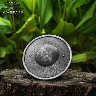 Rondache médiéval en acier 1.8mm Diamétre 23 cm avec poignée en bois et finition antique