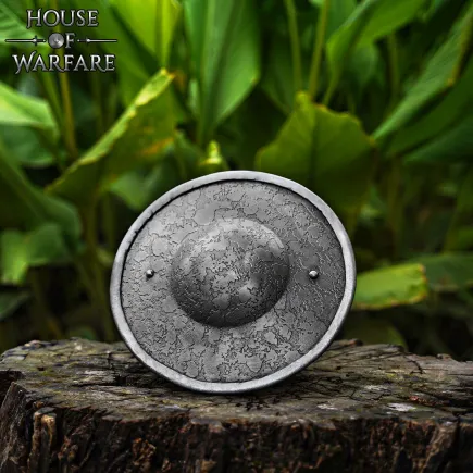 Rondache médiéval en acier 1.8mm Diamétre 23 cm avec poignée en bois et finition antique