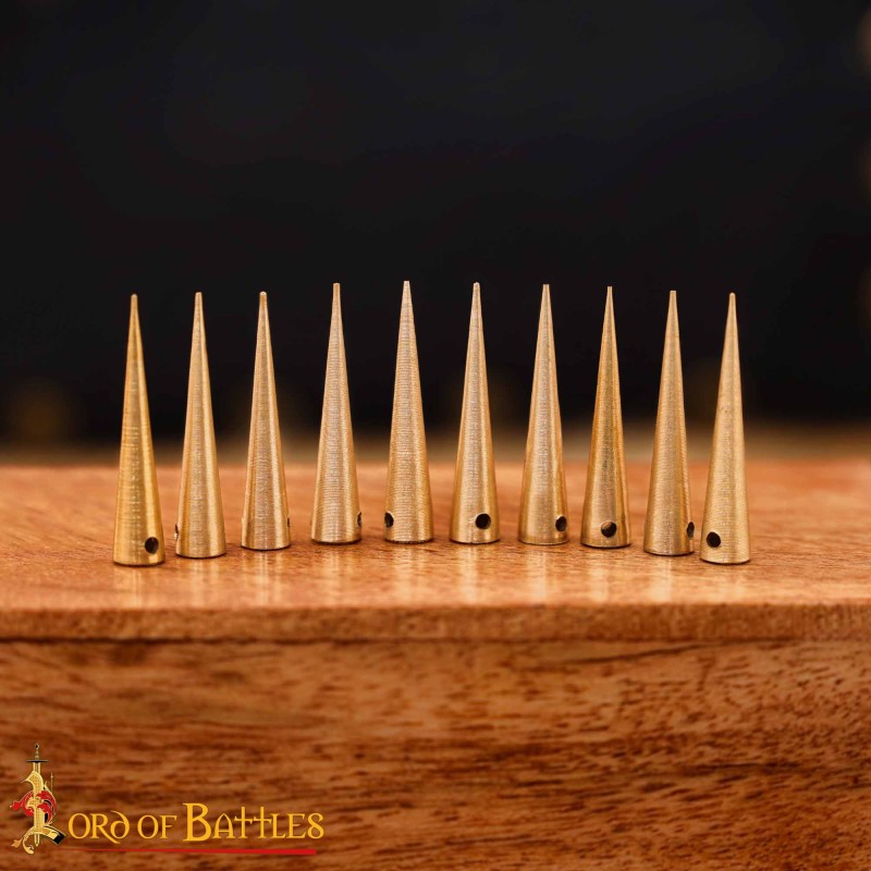 Aiguillette lot de  10 Pcs, 2.6 cm