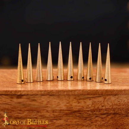 Aiguillette lot de  10 Pcs, 2.6 cm