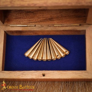 Aiguillette lot de  10 Pcs, 2.6 cm