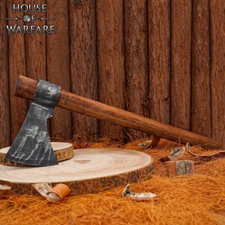 Hache de reconstitution viking prête au combat, trempée