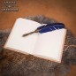 Journal médiéval en cuir