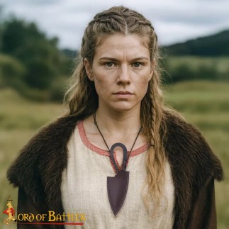 Couteau viking en fer forgé à la main avec étui en cuir véritable