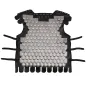 Viking Warrior's Scale Cuirass ideal for LARP