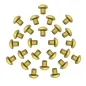 Pure Brass Small Mushroom Head Rivets Set of 25