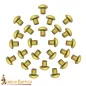 Pure Brass Small Mushroom Head Rivets Set of 25